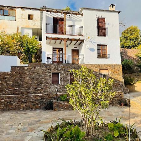Apartamento Los Laureles Laroles المظهر الخارجي الصورة